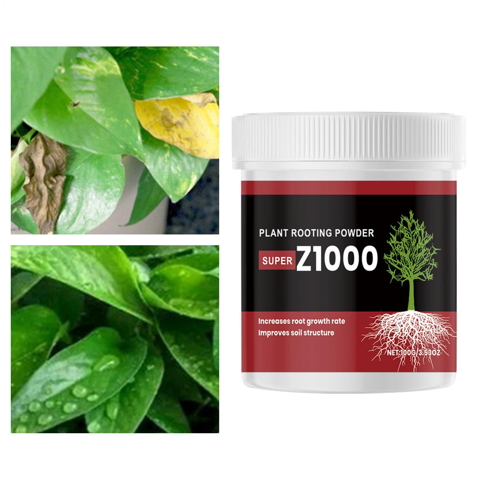 Rooting Ho Rmone Powder For Pl - đánh giá và giá Root Stimulator Liquid