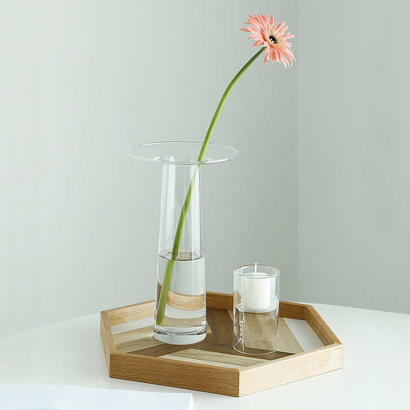 LIVETAI Transparent T-Shape Hy - đánh giá và giá Propagation Station Vase