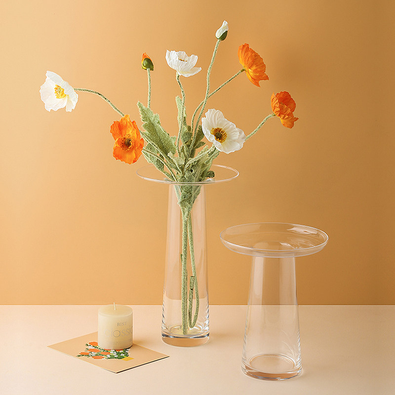LIVETAI Transparent T-Shape Hy - đánh giá và giá Propagation Station Vase
