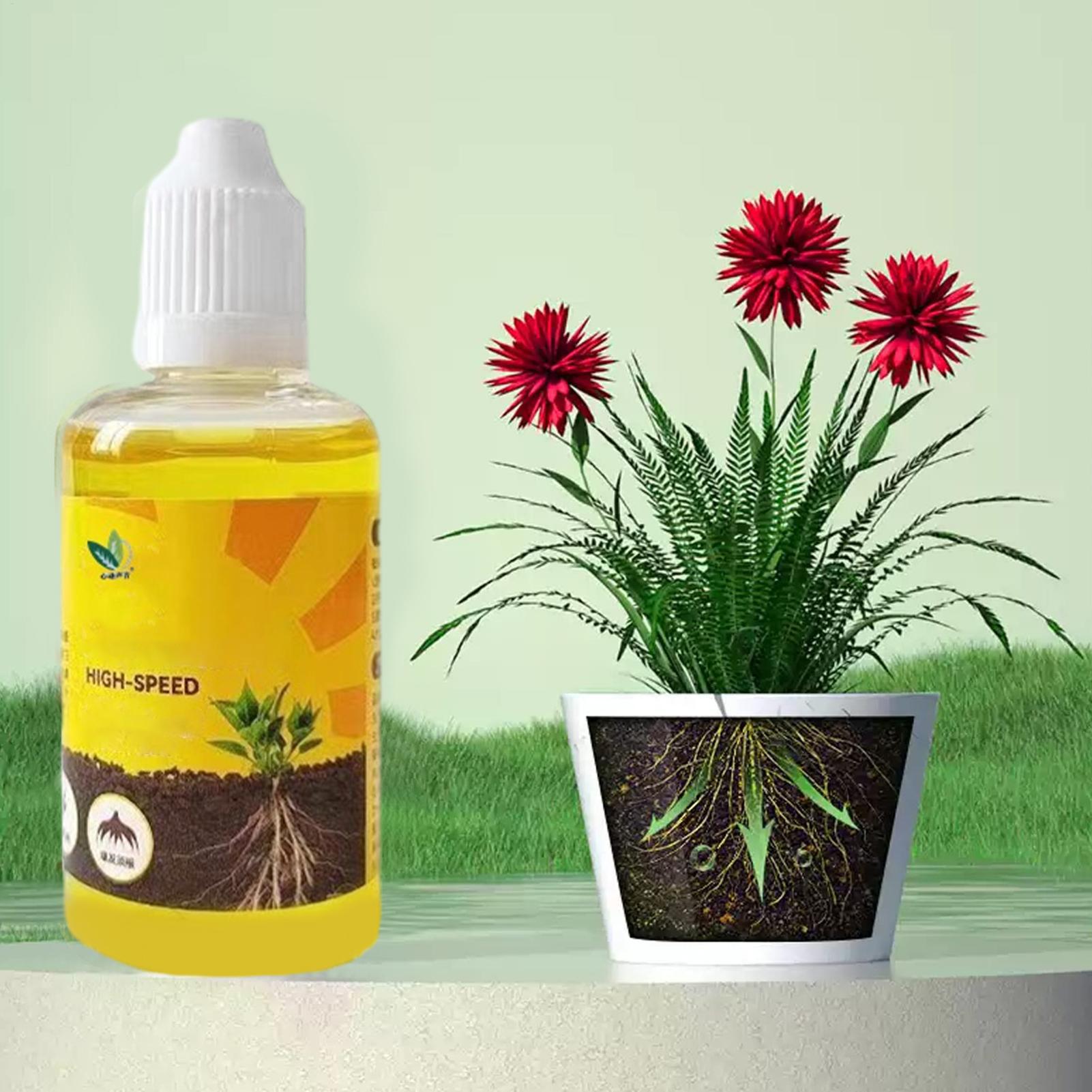 Plant Rooting Stimulator Liqui - đánh giá và giá Root Stimulator Liquid
