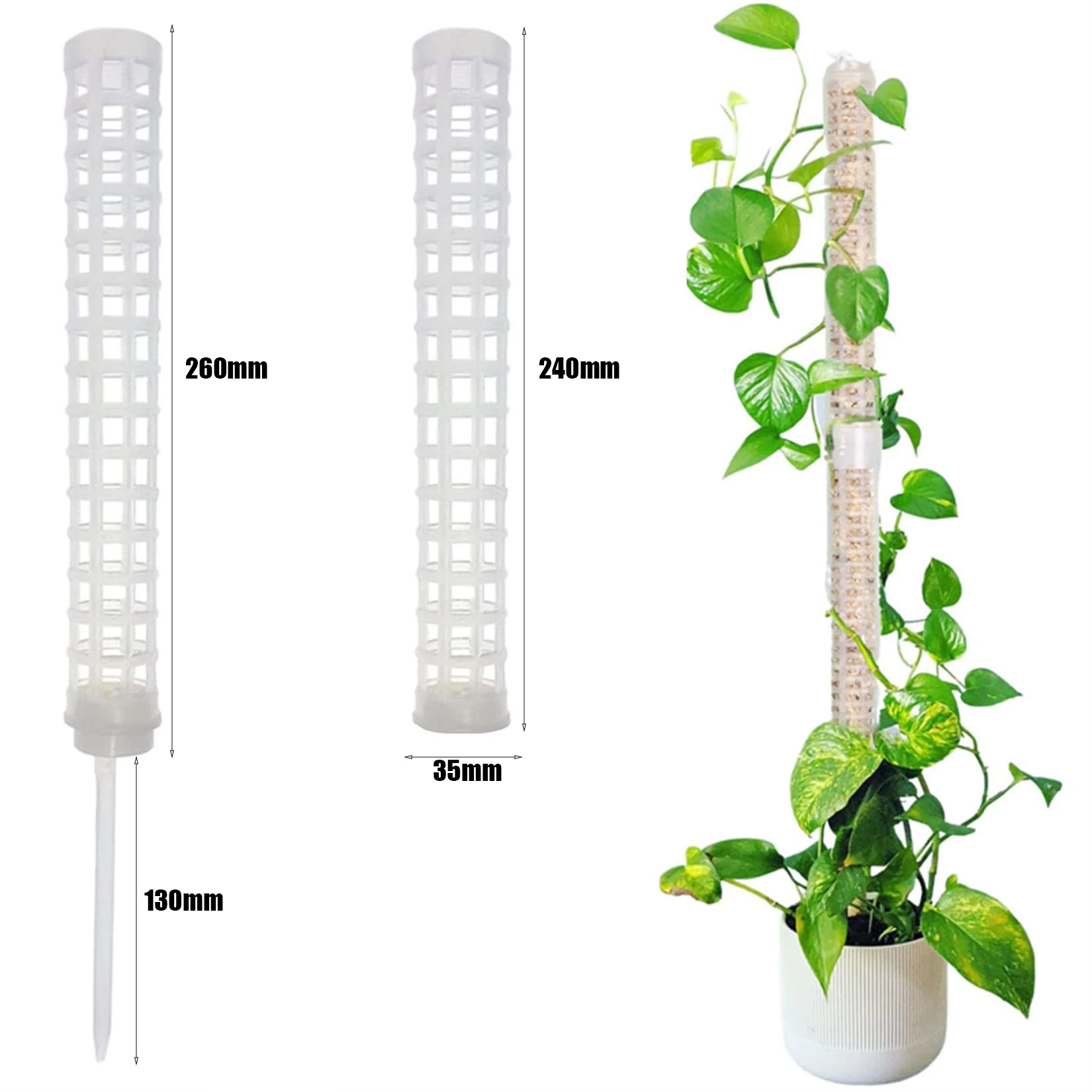 Plastic Plant Climbing Column  - đánh giá và giá Sphagnum Moss Dry