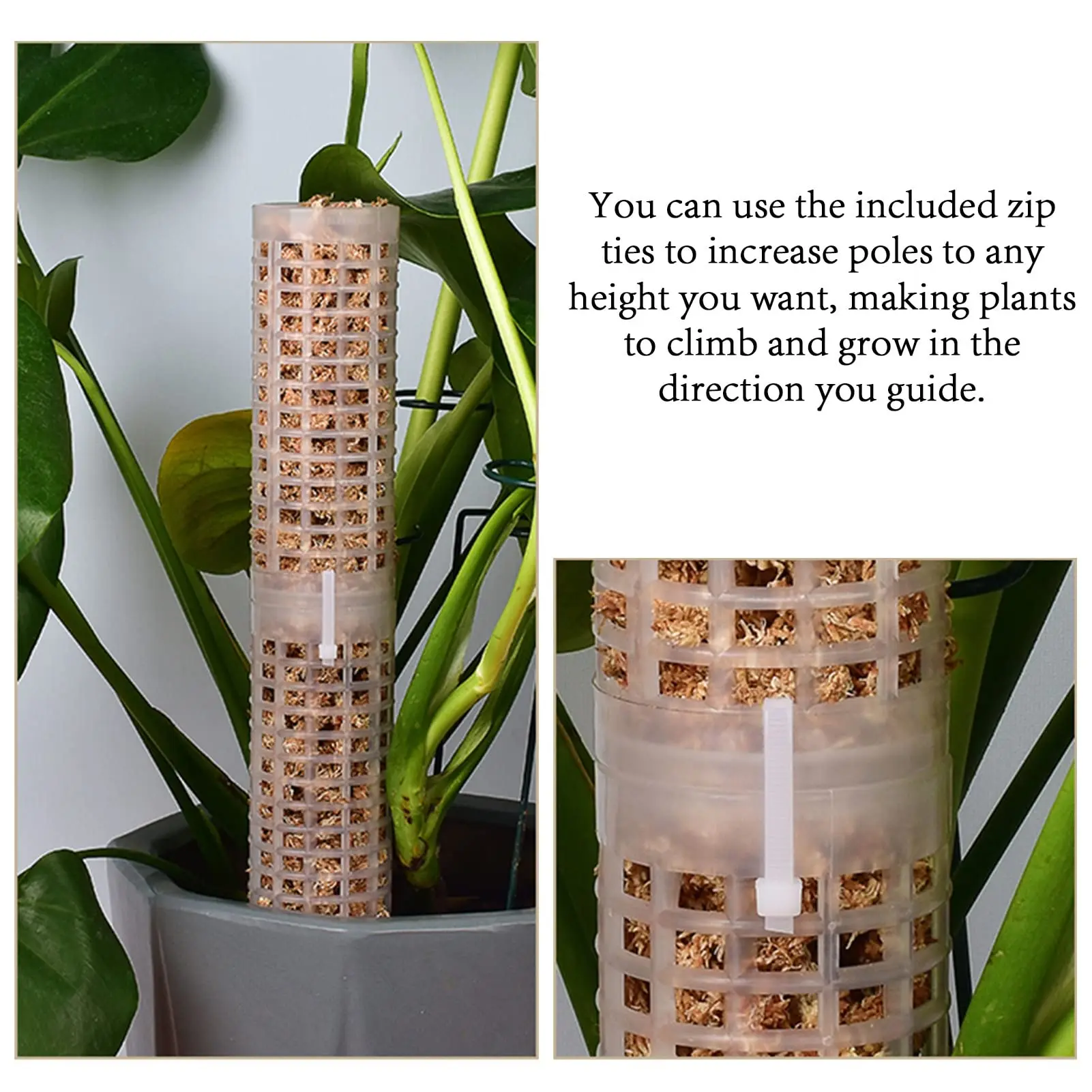 Plastic Plant Climbing Column  - đánh giá và giá Sphagnum Moss Dry